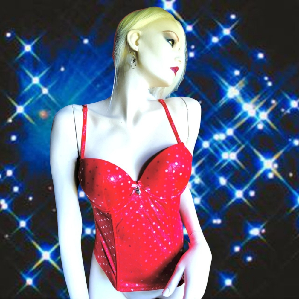 Valentine's Day Y2K Playboy Intimates Bombshell Red Silver Polka Dot Bustier Top